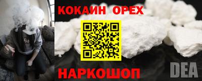 гашик Кандалакша