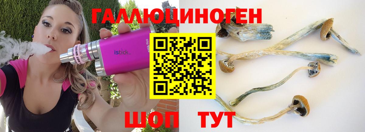 Галлюциногенные грибы GOLDEN TEACHER Лосино-Петровский
